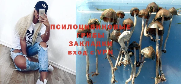 ПСИЛОЦИБИНОВЫЕ ГРИБЫ Михайловка