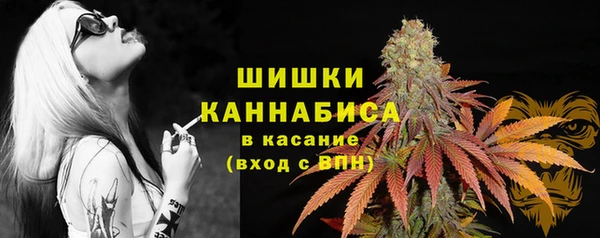 ПСИЛОЦИБИНОВЫЕ ГРИБЫ Михайловка